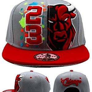 Greatest 23 Bull Splash Snapback Hat Gray/Red